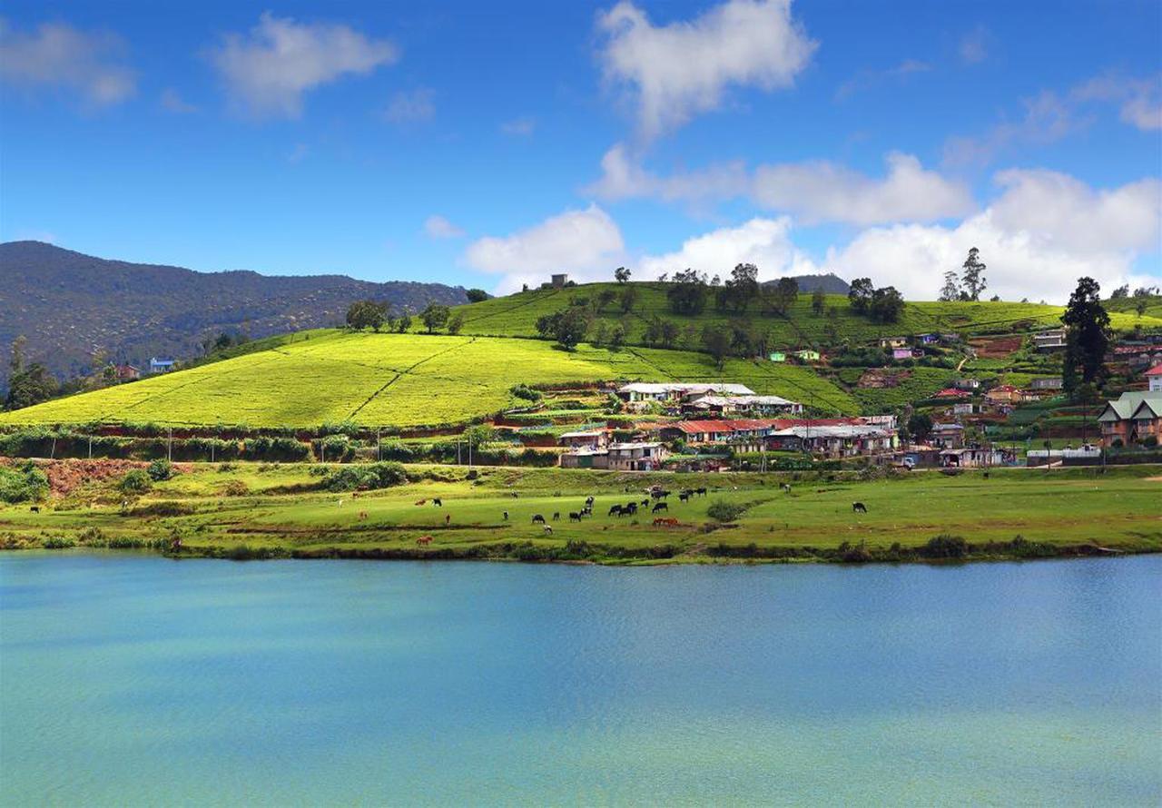 Bed and Breakfast Hill View Bungalow Nuwara Eliya Exteriér fotografie